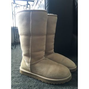 Classic II Tall Uggs